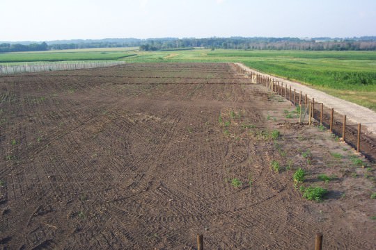 Construction of Noss Farm pens